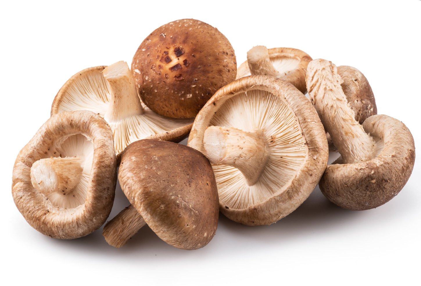 Shiitake mushrooms.